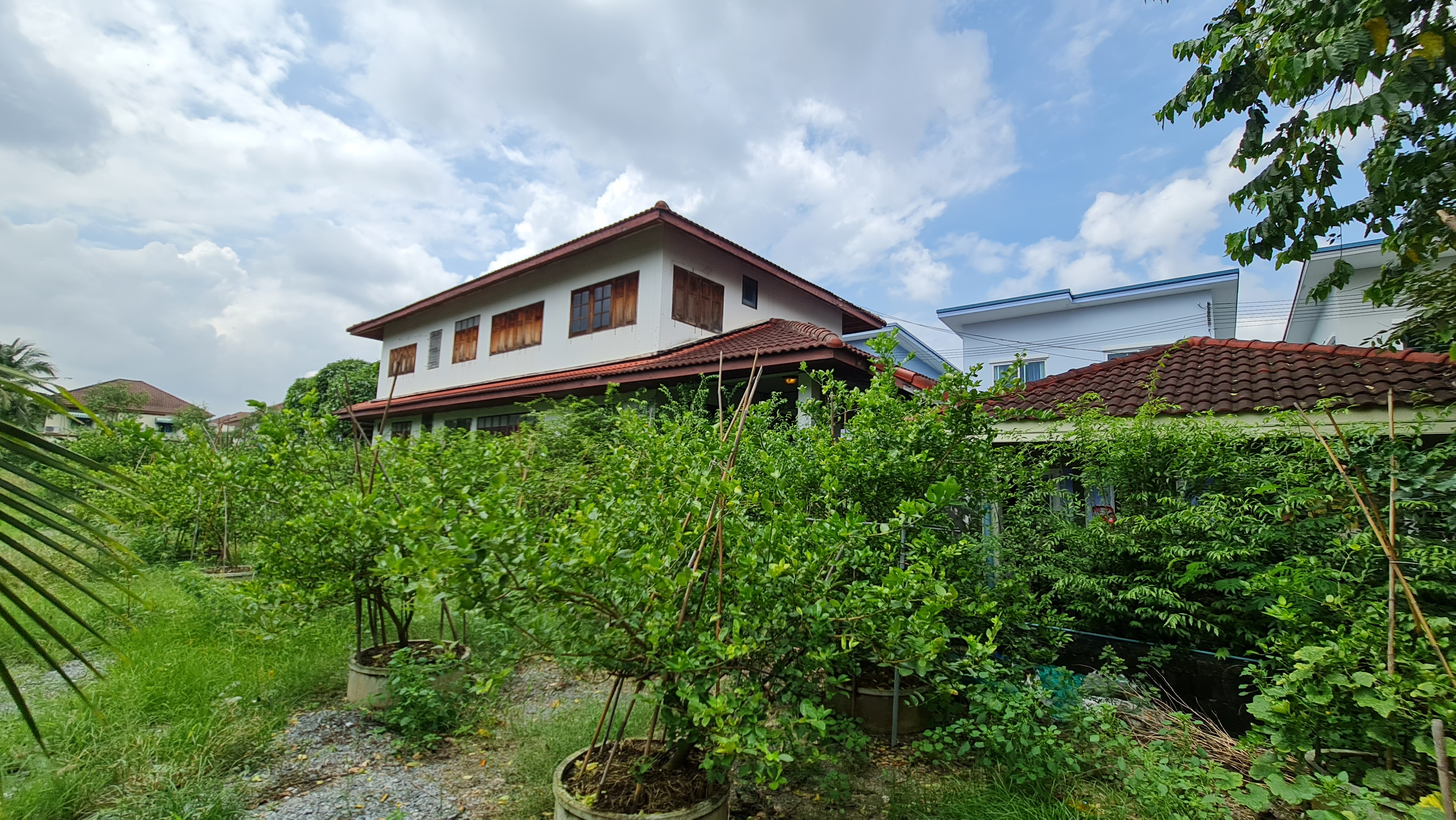 [ขายด่วน] ที่ดินแปลงใหญ่ 498 ตร.ว. พร้อมบ้านหลังใหญ่ ติดคลอง บรรยากาศร่มรื่น ย่านบางกรวย